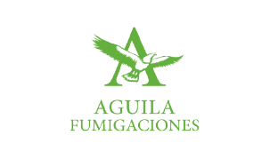 aguila